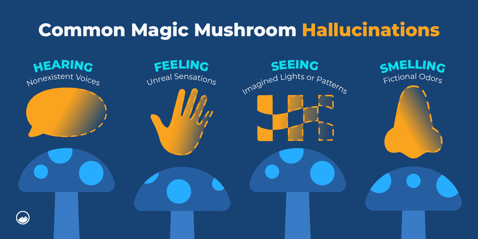 Magic Mushrooms Graphics_04 Common Magic Mushroom Hallucinations Inline Image
