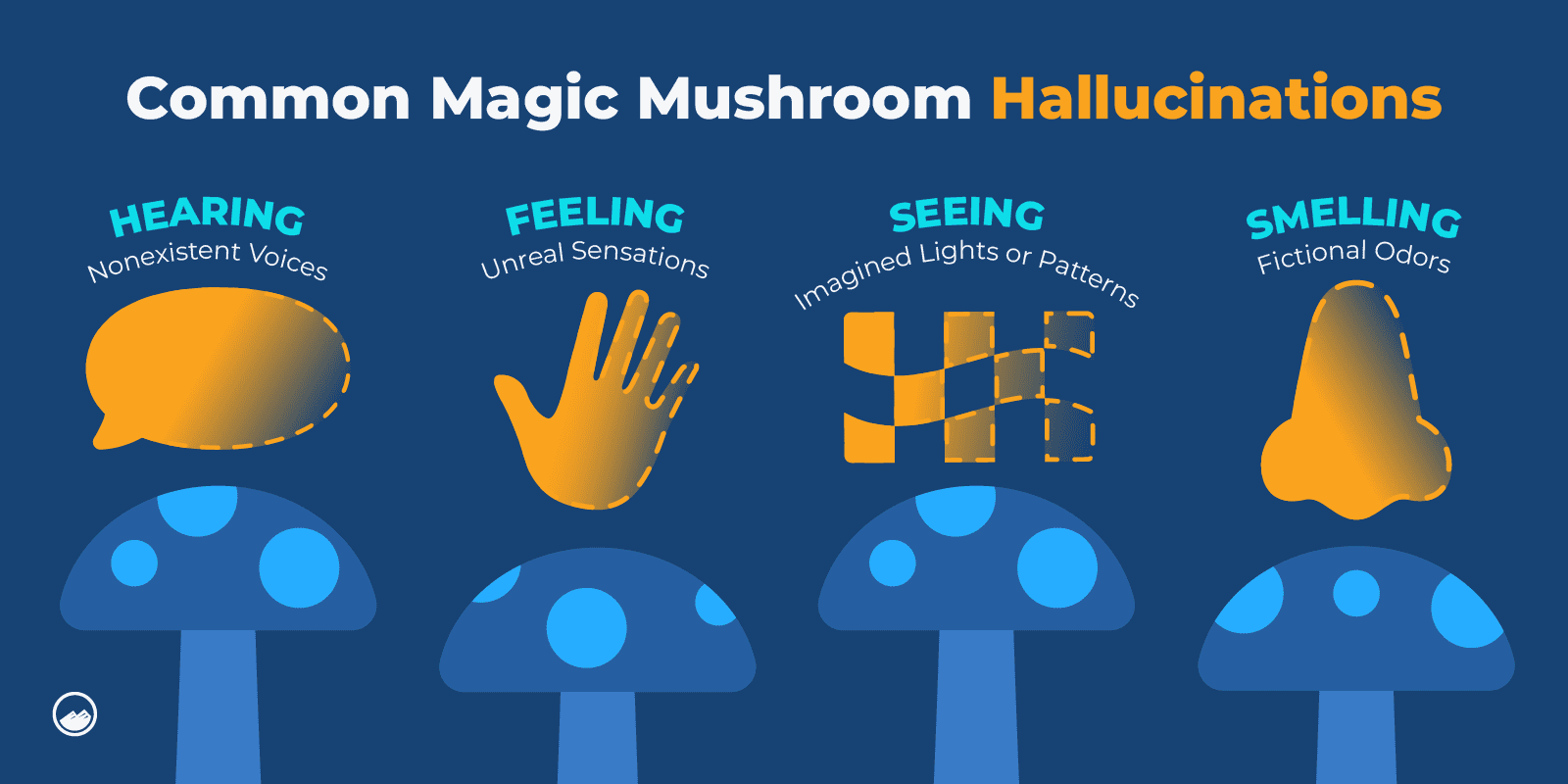 a close up of a person ' s hand with different types of mushrooms