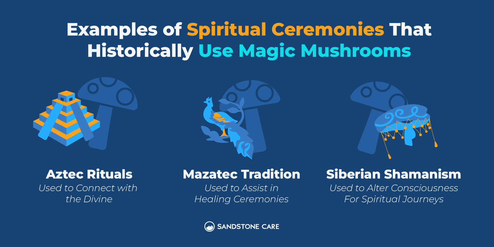 a blue background with a graphic of a number of different types of mushrooms