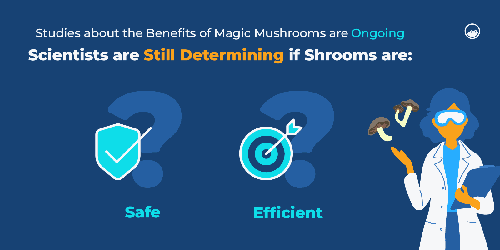 Magic Mushrooms Graphics_12 Ongoing Magic Mushroom Experiments Inline Image